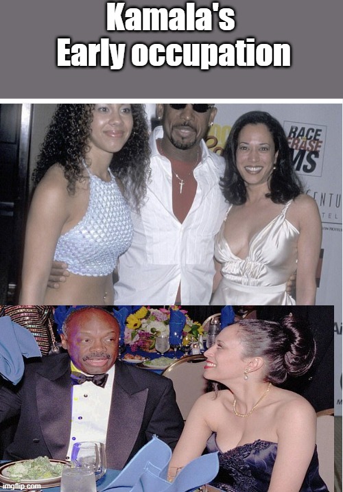 THE ESCORT goes to DC .. Willie trained her well. | Kamala's  Early occupation | image tagged in democrats | made w/ Imgflip meme maker