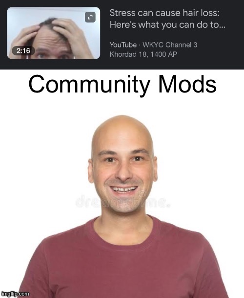 Hair Loss | Community Mods | image tagged in hair loss | made w/ Imgflip meme maker