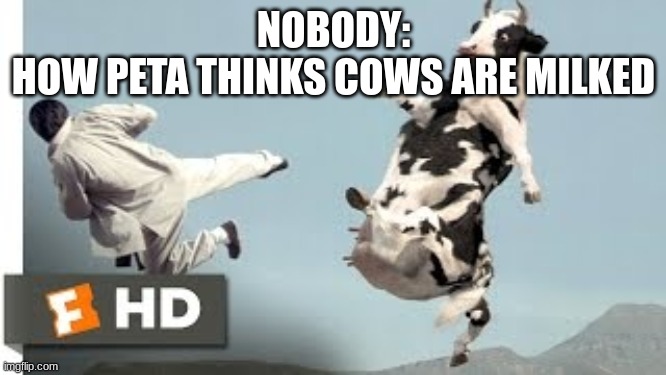 Just something I thought up | NOBODY:
HOW PETA THINKS COWS ARE MILKED | image tagged in peta,cow | made w/ Imgflip meme maker