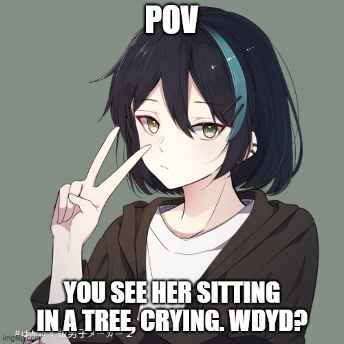 Romance RP, males preferred but not required. No joke or bambi OCs, no ERP, and no military OCs. | POV; YOU SEE HER SITTING IN A TREE, CRYING. WDYD? | made w/ Imgflip meme maker