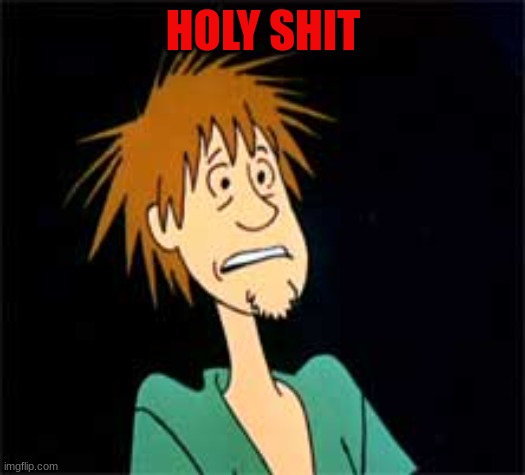 Shaggy - Zoiks | HOLY SHIT | image tagged in shaggy - zoiks | made w/ Imgflip meme maker