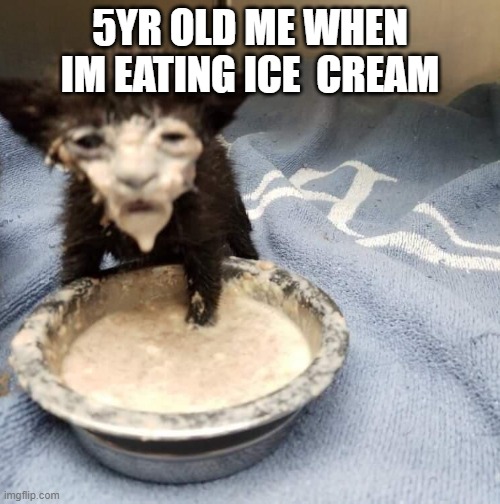 im stupid | 5YR OLD ME WHEN IM EATING ICE  CREAM | image tagged in funny memes,relatable | made w/ Imgflip meme maker