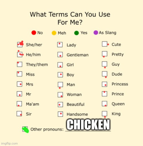 Pronouns Sheet | CHICKEN | image tagged in pronouns sheet | made w/ Imgflip meme maker