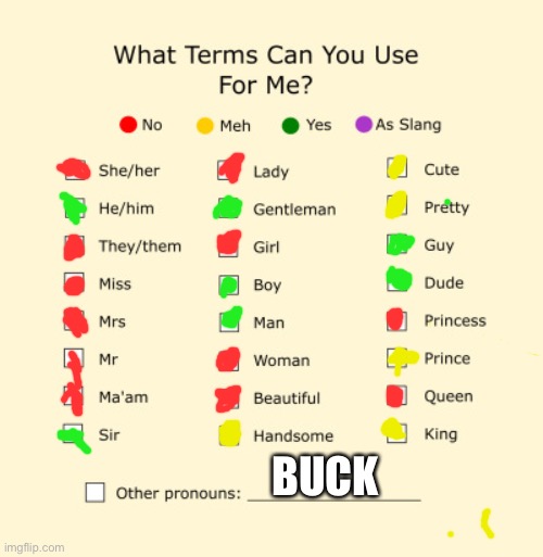 Pronouns Sheet | BUCK | image tagged in pronouns sheet | made w/ Imgflip meme maker
