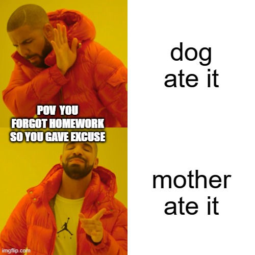 Drake Hotline Bling | dog ate it; POV  YOU FORGOT HOMEWORK SO YOU GAVE EXCUSE; mother ate it | image tagged in memes,drake hotline bling | made w/ Imgflip meme maker