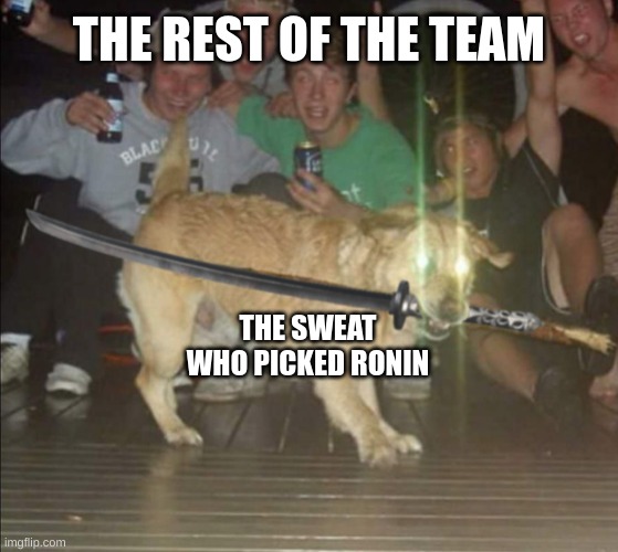Dog with sword and glowing eyes | THE REST OF THE TEAM; THE SWEAT WHO PICKED RONIN | image tagged in dog with sword and glowing eyes | made w/ Imgflip meme maker