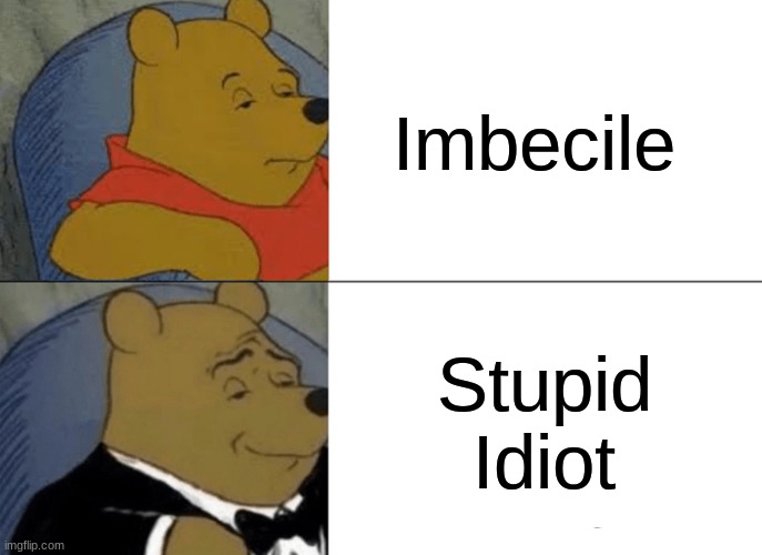 *laughs in rich* | Imbecile; Stupid Idiot | image tagged in memes,tuxedo winnie the pooh | made w/ Imgflip meme maker