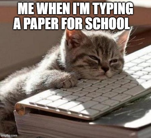 school cat | ME WHEN I'M TYPING A PAPER FOR SCHOOL | image tagged in tired cat | made w/ Imgflip meme maker