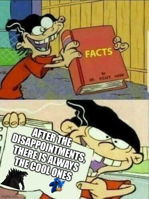 Double d facts book  | AFTER THE DISAPPOINTMENTS, THERE IS ALWAYS THE COOL ONES | image tagged in double d facts book | made w/ Imgflip meme maker