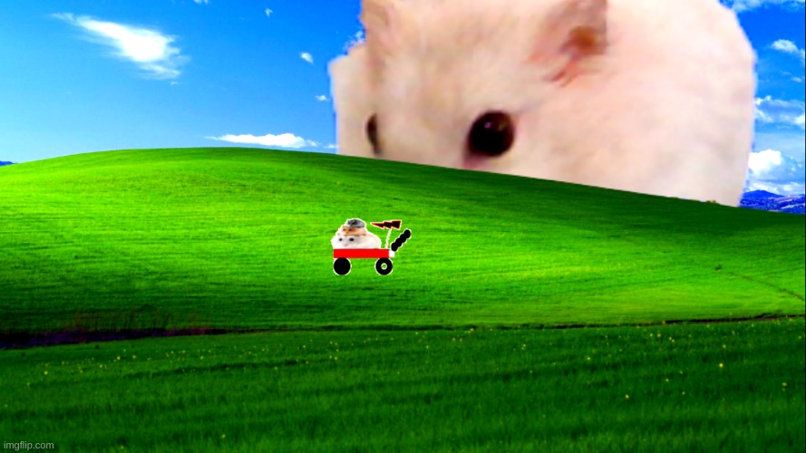 NOOOOOOOOOOOOOOOOO | image tagged in hamster,car,scared hamster | made w/ Imgflip meme maker