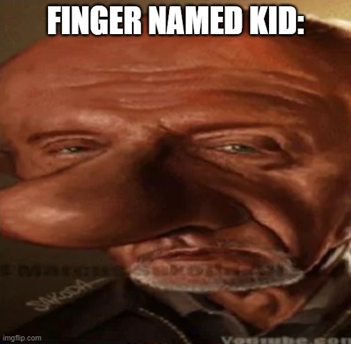finger dingle | FINGER NAMED KID: | image tagged in finger dingle | made w/ Imgflip meme maker
