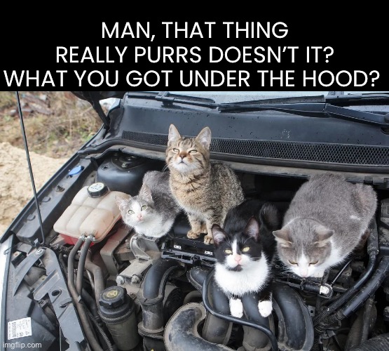 Cat Humor | MAN, THAT THING REALLY PURRS DOESN’T IT?

WHAT YOU GOT UNDER THE HOOD? | image tagged in funny,funny cats,puns | made w/ Imgflip meme maker