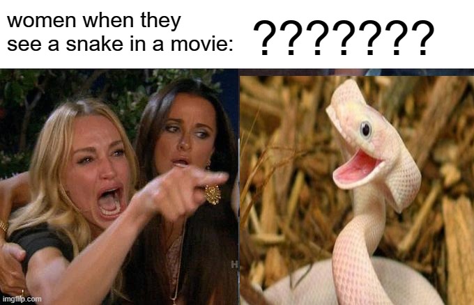 fun fact: SNAKE DOESN'T ATTACK YOU FOR NO REASON YOU COCONUT | women when they see a snake in a movie:; ??????? | image tagged in woman yelling at cat,snake,funny | made w/ Imgflip meme maker