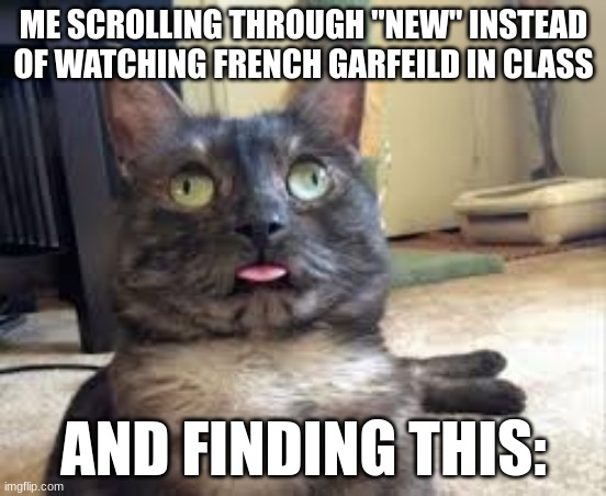 CATCEPTION | ME SCROLLING THROUGH "NEW" INSTEAD OF WATCHING FRENCH GARFEILD IN CLASS; AND FINDING THIS: | image tagged in cats,memes,gottem,sometimes i wonder,what if i told you | made w/ Imgflip meme maker
