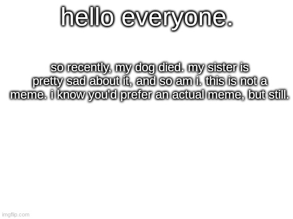 Blank White Template | hello everyone. so recently, my dog died. my sister is pretty sad about it, and so am i. this is not a meme. i know you'd prefer an actual meme, but still. | image tagged in blank white template | made w/ Imgflip meme maker
