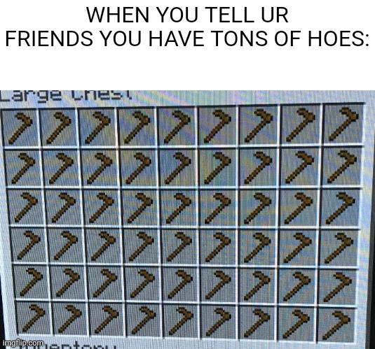 Hoes for days | WHEN YOU TELL UR FRIENDS YOU HAVE TONS OF HOES: | image tagged in hoes,minecraft | made w/ Imgflip meme maker