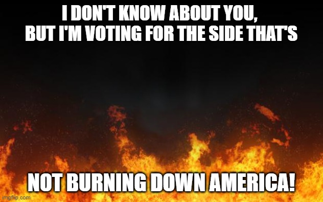 fire | I DON'T KNOW ABOUT YOU, 
     BUT I'M VOTING FOR THE SIDE THAT'S; NOT BURNING DOWN AMERICA! | image tagged in fire | made w/ Imgflip meme maker