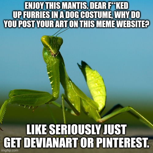 question for 99.9% of furries on this website | ENJOY THIS MANTIS. DEAR F**KED UP FURRIES IN A DOG COSTUME, WHY DO YOU POST YOUR ART ON THIS MEME WEBSITE? LIKE SERIOUSLY JUST GET DEVIANART OR PINTEREST. | image tagged in anti furry | made w/ Imgflip meme maker