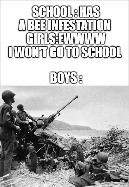 School meme | SCHOOL : HAS A BEE INFESTATION 
GIRLS:EWWWW I WON'T GO TO SCHOOL; BOYS : | image tagged in school | made w/ Imgflip meme maker