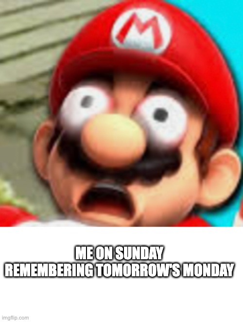 OH NO | ME ON SUNDAY REMEMBERING TOMORROW'S MONDAY | image tagged in blank white template,super mario,funny,memes,smg4 | made w/ Imgflip meme maker
