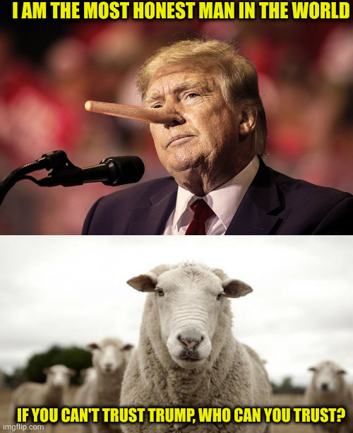 I remember animal farm all too well | I AM THE MOST HONEST MAN IN THE WORLD; IF YOU CAN'T TRUST TRUMP, WHO CAN YOU TRUST? | image tagged in sheep,trump lying again,maga sheeple | made w/ Imgflip meme maker