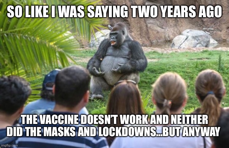 Explaining lecture monkey | SO LIKE I WAS SAYING TWO YEARS AGO; THE VACCINE DOESN’T WORK AND NEITHER DID THE MASKS AND LOCKDOWNS…BUT ANYWAY | image tagged in explaining lecture monkey | made w/ Imgflip meme maker
