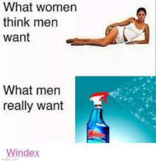 image tagged in windex | made w/ Imgflip meme maker