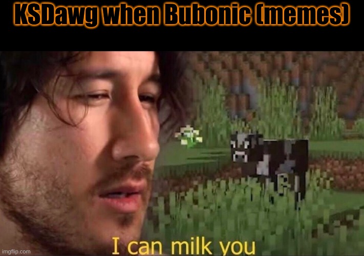 I can milk you (template) | KSDawg when Bubonic (memes) | image tagged in i can milk you template | made w/ Imgflip meme maker