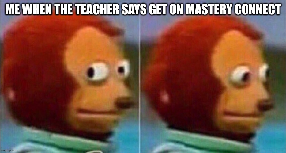 Monkey looking away | ME WHEN THE TEACHER SAYS GET ON MASTERY CONNECT | image tagged in monkey looking away | made w/ Imgflip meme maker