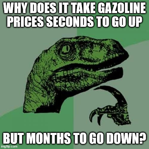 Too Little Competition? | WHY DOES IT TAKE GAZOLINE PRICES SECONDS TO GO UP; BUT MONTHS TO GO DOWN? | image tagged in memes,philosoraptor,crisis | made w/ Imgflip meme maker