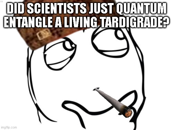 Did scientists just quantum entangle a living tardigrade? | DID SCIENTISTS JUST QUANTUM ENTANGLE A LIVING TARDIGRADE? | image tagged in hey internet | made w/ Imgflip meme maker