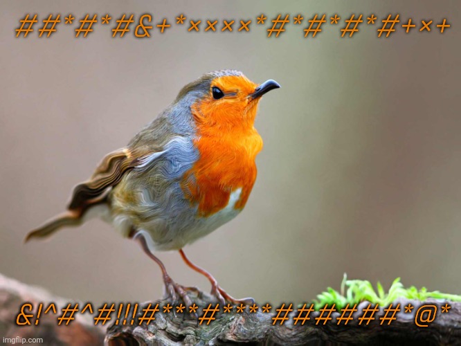 Wierd birb | ##*#*#&+*××××*#*#*#*#+×+; &!^#^#!!!#***#****######*@* | image tagged in wierd birb | made w/ Imgflip meme maker
