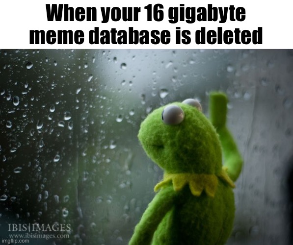 Memes | When your 16 gigabyte meme database is deleted | image tagged in kermit window | made w/ Imgflip meme maker