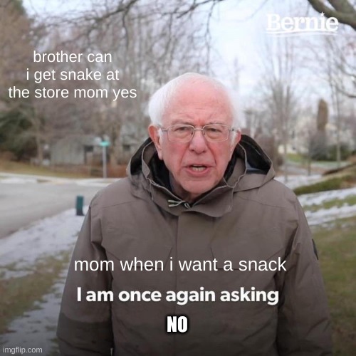 Bernie I Am Once Again Asking For Your Support | brother can i get snake at the store mom yes; mom when i want a snack; NO | image tagged in memes,bernie i am once again asking for your support,mom,relatable,childhood | made w/ Imgflip meme maker