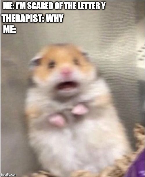 y | ME: I'M SCARED OF THE LETTER Y; THERAPIST: WHY; ME: | image tagged in scared hamster | made w/ Imgflip meme maker