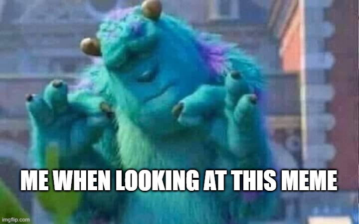 Sully shutdown | ME WHEN LOOKING AT THIS MEME | image tagged in sully shutdown | made w/ Imgflip meme maker