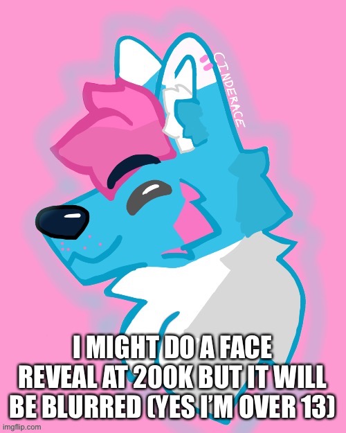 Image title | I MIGHT DO A FACE REVEAL AT 200K BUT IT WILL BE BLURRED (YES I’M OVER 13) | image tagged in memes,furry,face reveal | made w/ Imgflip meme maker