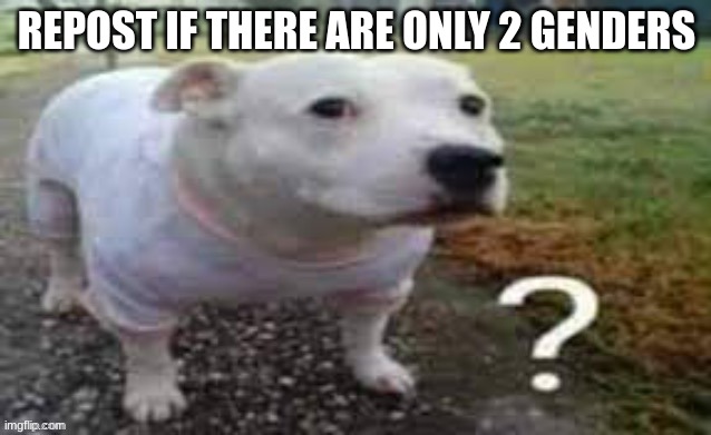 repost if there are only 2 genders | REPOST IF THERE ARE ONLY 2 GENDERS | made w/ Imgflip meme maker