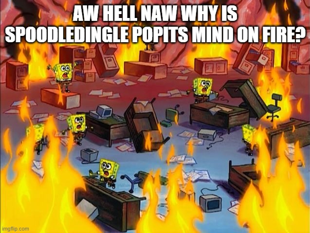 aw hell naw | AW HELL NAW WHY IS SPOODLEDINGLE POPITS MIND ON FIRE? | image tagged in spongebob fire | made w/ Imgflip meme maker