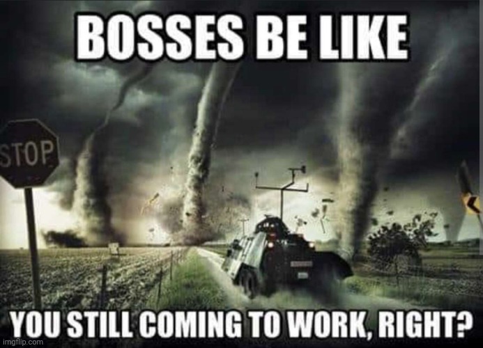 True | made w/ Imgflip meme maker