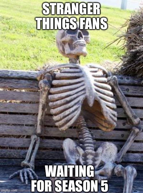 Waiting Skeleton Meme | STRANGER THINGS FANS; WAITING FOR SEASON 5 | image tagged in memes,waiting skeleton | made w/ Imgflip meme maker