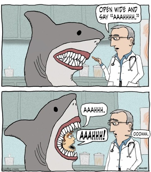 AAAHHH | image tagged in sharks,shark,doctor,comics,comic,comics/cartoons | made w/ Imgflip meme maker