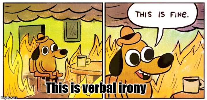 This Is Fine Meme | This is verbal irony | image tagged in memes,this is fine | made w/ Imgflip meme maker