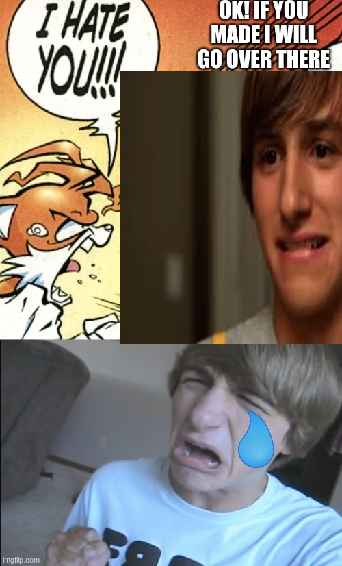 Tails Hates Fred figglehorn |  OK! IF YOU MADE I WILL GO OVER THERE | image tagged in fred,tails the fox,sonic the hedgehog,hates,memes | made w/ Imgflip meme maker