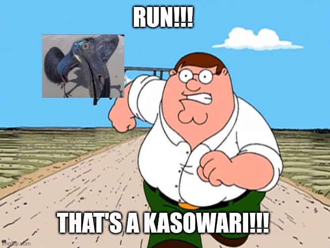 Peter Griffin running away | RUN!!! THAT'S A KASOWARI!!! | image tagged in peter griffin running away | made w/ Imgflip meme maker