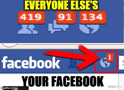 EVERYONE ELSE'S YOUR FACEBOOK | image tagged in funny,facebook | made w/ Imgflip meme maker