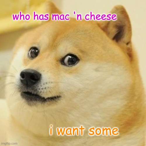 Doge | who has mac 'n cheese; i want some | image tagged in memes,doge | made w/ Imgflip meme maker