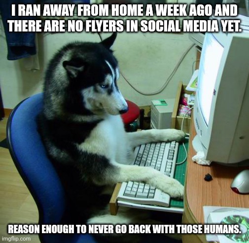 I Have No Idea What I Am Doing |  I RAN AWAY FROM HOME A WEEK AGO AND THERE ARE NO FLYERS IN SOCIAL MEDIA YET. REASON ENOUGH TO NEVER GO BACK WITH THOSE HUMANS. | image tagged in memes,i have no idea what i am doing | made w/ Imgflip meme maker