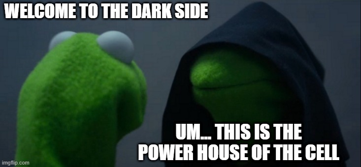 Evil Kermit Meme | WELCOME TO THE DARK SIDE; UM... THIS IS THE POWER HOUSE OF THE CELL | image tagged in memes,evil kermit | made w/ Imgflip meme maker