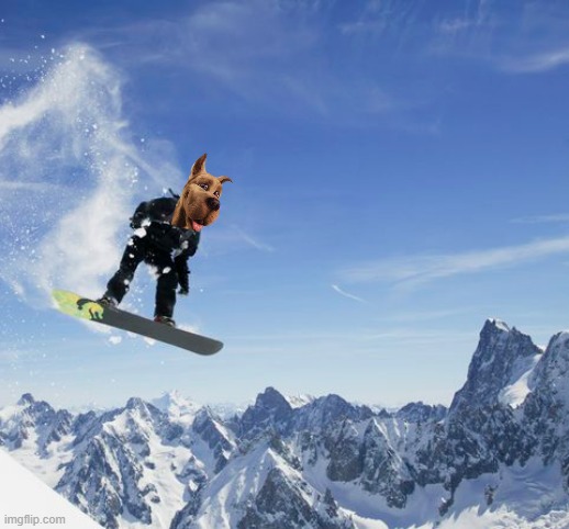 look at scooby shred | image tagged in snowboardy guy,warner bros,dogs,scooby doo | made w/ Imgflip meme maker